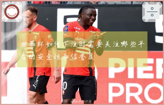 世界杯如何下注时需要关注哪些平台的安全性和信誉度