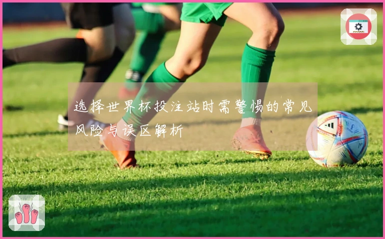 选择世界杯投注站时需警惕的常见风险与误区解析