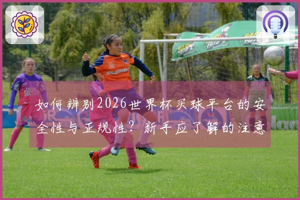 如何辨别2026世界杯买球平台的安全性与正规性？新手应了解的注意事项