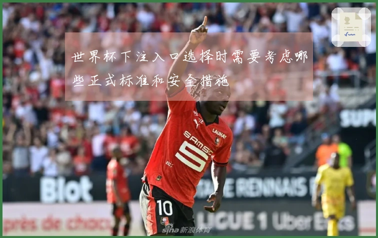 世界杯下注入口选择时需要考虑哪些正式标准和安全措施