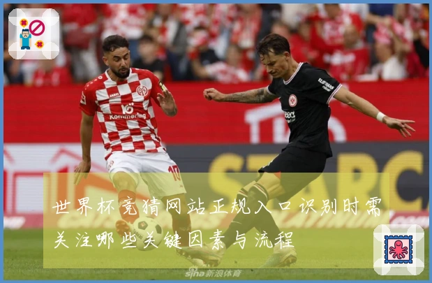 世界杯竞猜网站正规入口识别时需关注哪些关键因素与流程