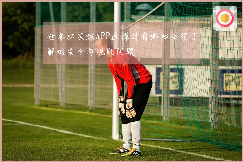 世界杯买球APP选择时有哪些必须了解的安全与规则问题