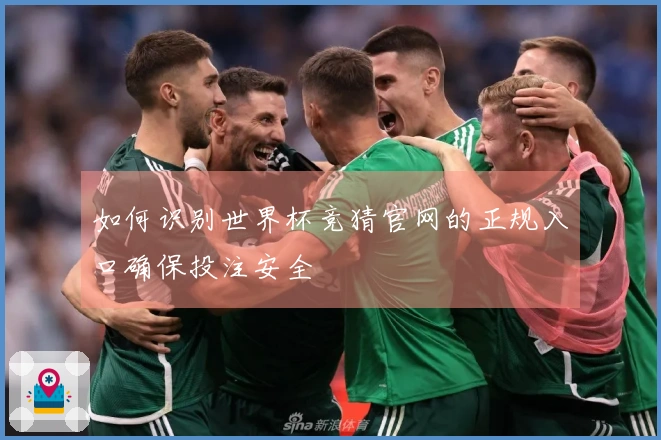 如何识别世界杯竞猜官网的正规入口确保投注安全