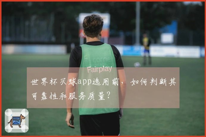 世界杯买球app选用前，如何判断其可靠性和服务质量？