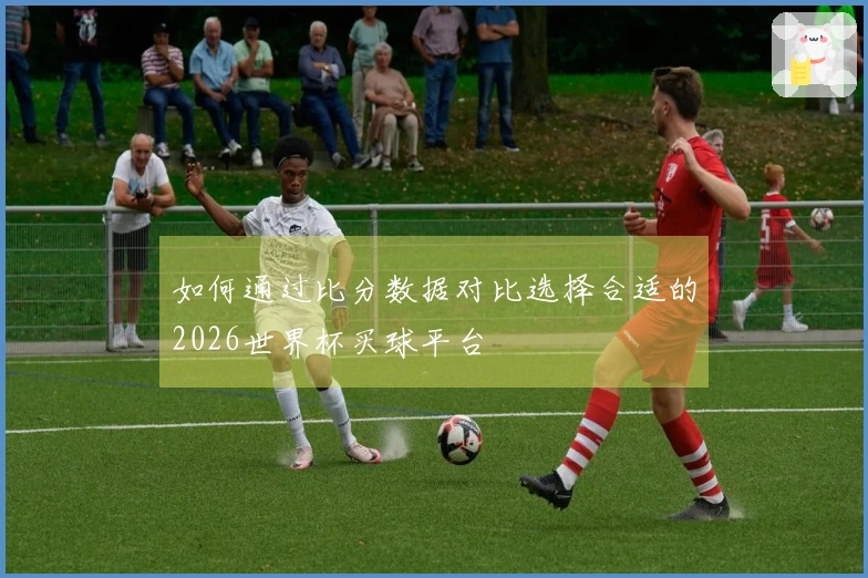 如何通过比分数据对比选择合适的2026世界杯买球平台