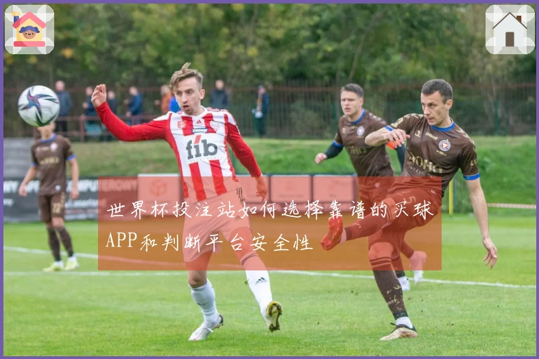 世界杯投注站如何选择靠谱的买球APP和判断平台安全性