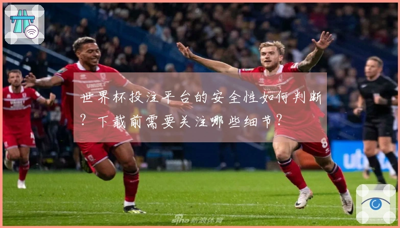 世界杯投注平台的安全性如何判断？下载前需要关注哪些细节？