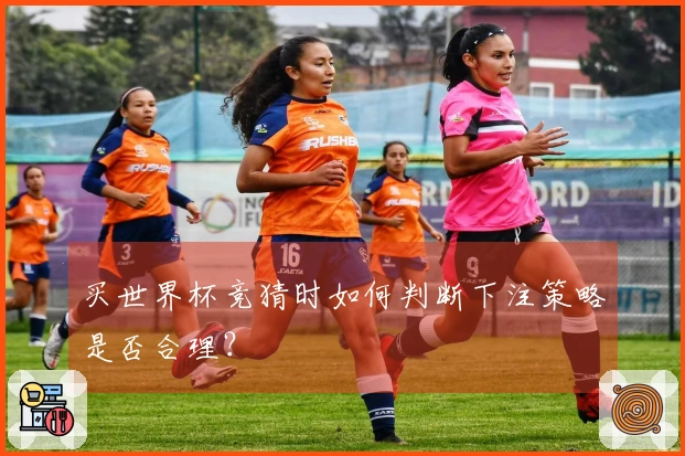 买世界杯竞猜时如何判断下注策略是否合理？