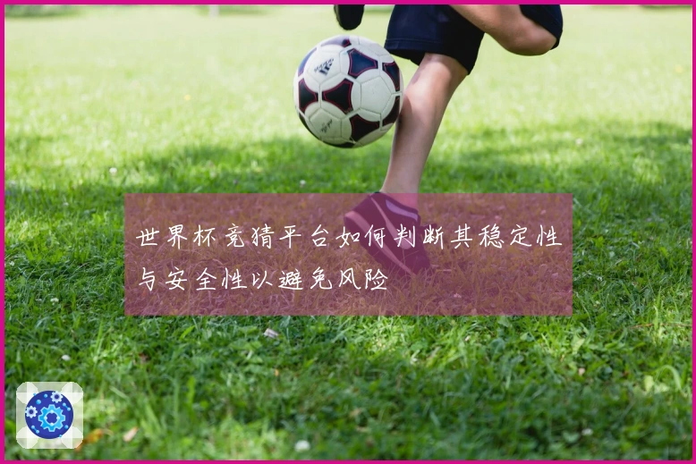 世界杯竞猜平台如何判断其稳定性与安全性以避免风险