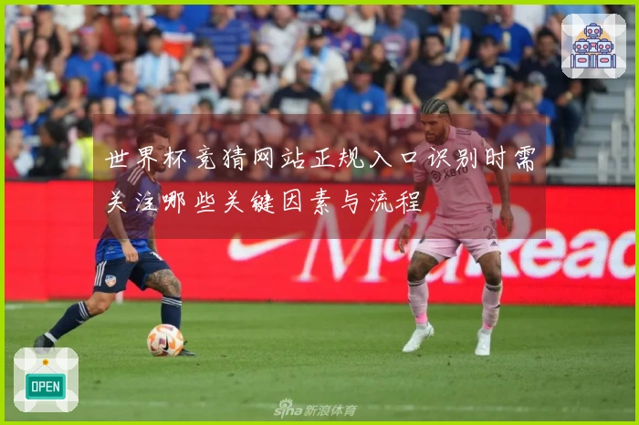 世界杯竞猜网站正规入口识别时需关注哪些关键因素与流程