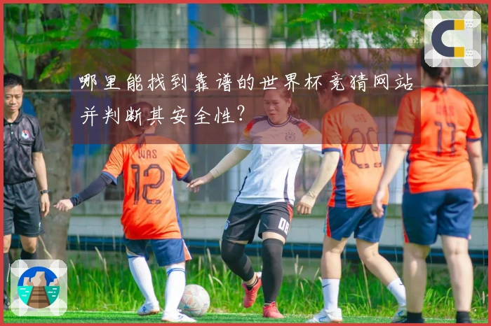哪里能找到靠谱的世界杯竞猜网站并判断其安全性？