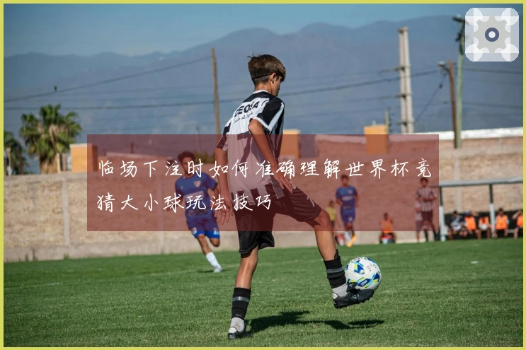 临场下注时如何准确理解世界杯竞猜大小球玩法技巧