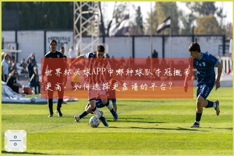 世界杯买球APP中哪种球队夺冠概率更高，如何选择更靠谱的平台？