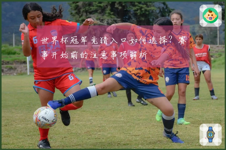 世界杯冠军竞猜入口如何选择？赛事开始前的注意事项解析