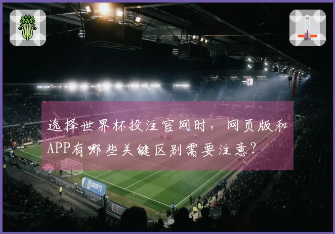 选择世界杯投注官网时，网页版和APP有哪些关键区别需要注意？