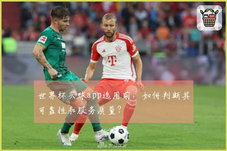 世界杯买球app选用前，如何判断其可靠性和服务质量？