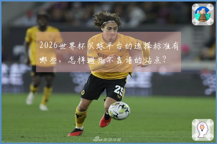 2026世界杯买球平台的选择标准有哪些，怎样避开不靠谱的站点？