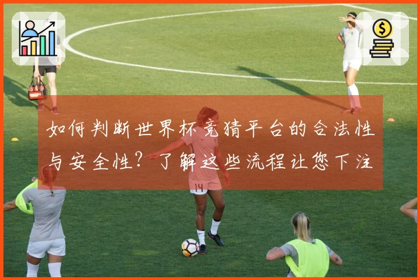 如何判断世界杯竞猜平台的合法性与安全性？了解这些流程让您下注更放心