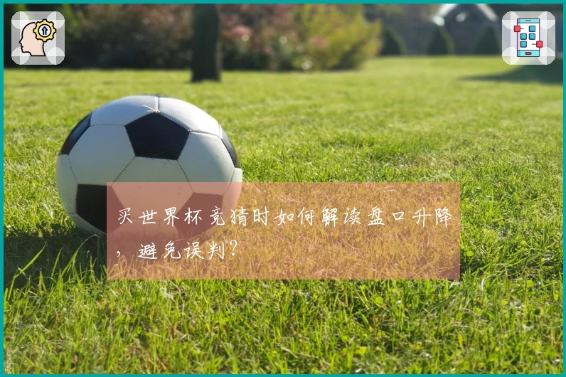 买世界杯竞猜时如何解读盘口升降，避免误判？