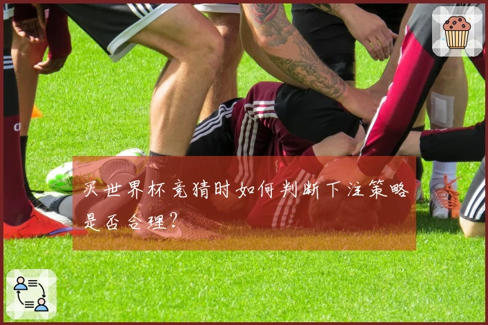 买世界杯竞猜时如何判断下注策略是否合理？