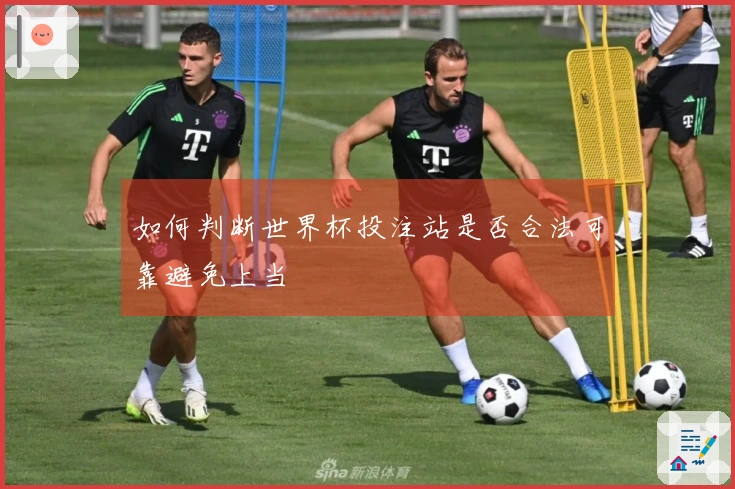 如何判断世界杯投注站是否合法可靠避免上当