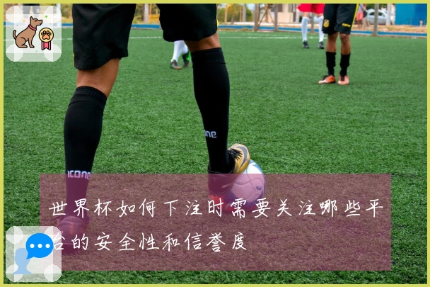 世界杯如何下注时需要关注哪些平台的安全性和信誉度
